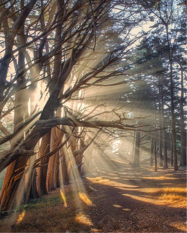 Stunning Oceanview Coastal Home Beach Trails Family Activities Montara Esterno foto