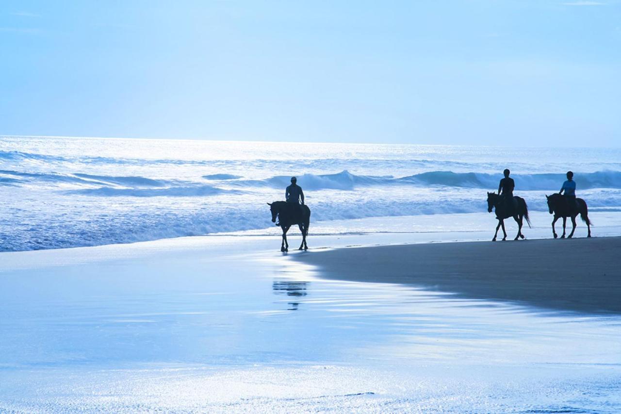 Stunning Oceanview Coastal Home Beach Trails Family Activities Montara Esterno foto